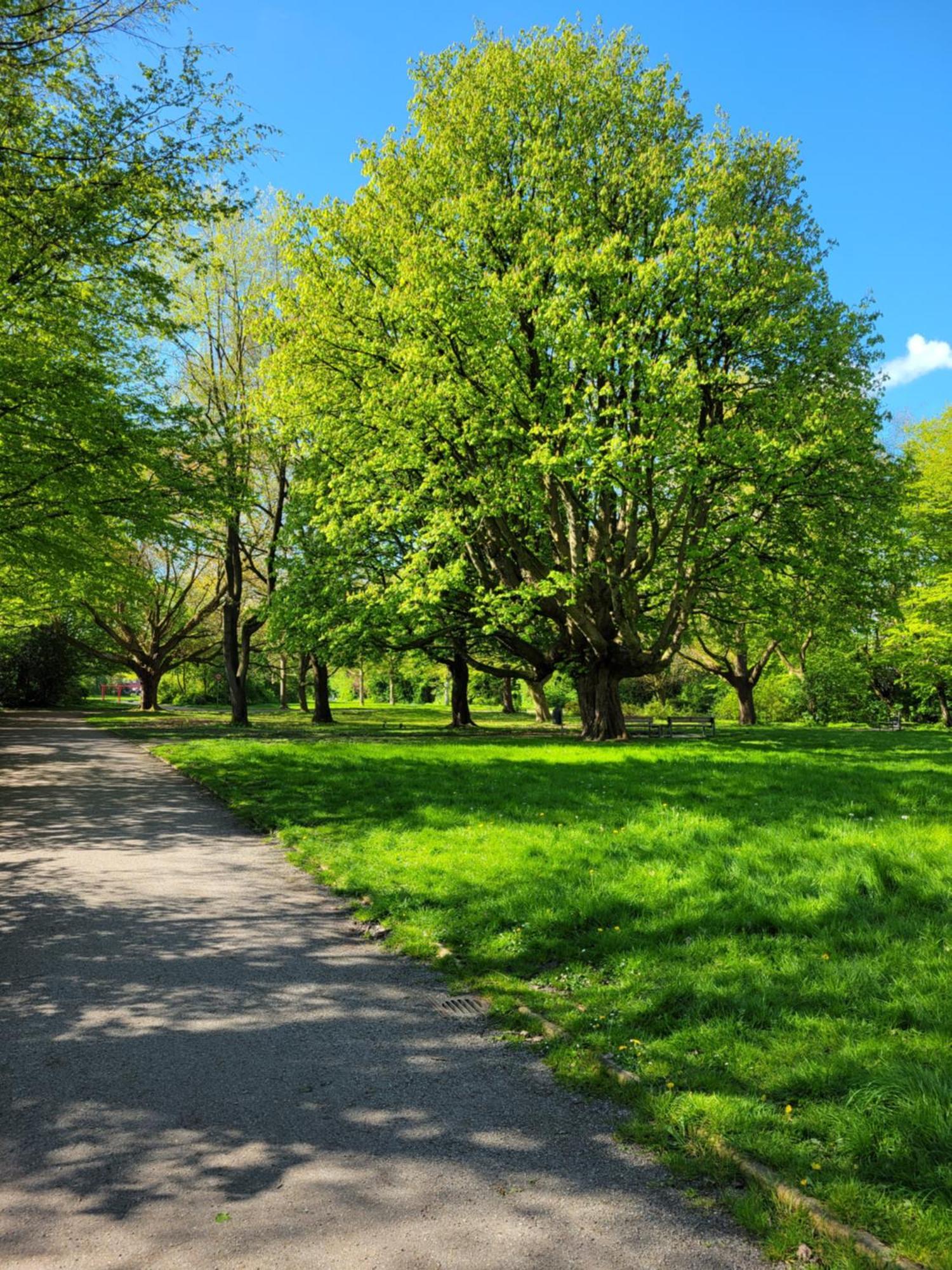Ferienwohnungen Am Park Wilhelmshaven Zewnętrze zdjęcie