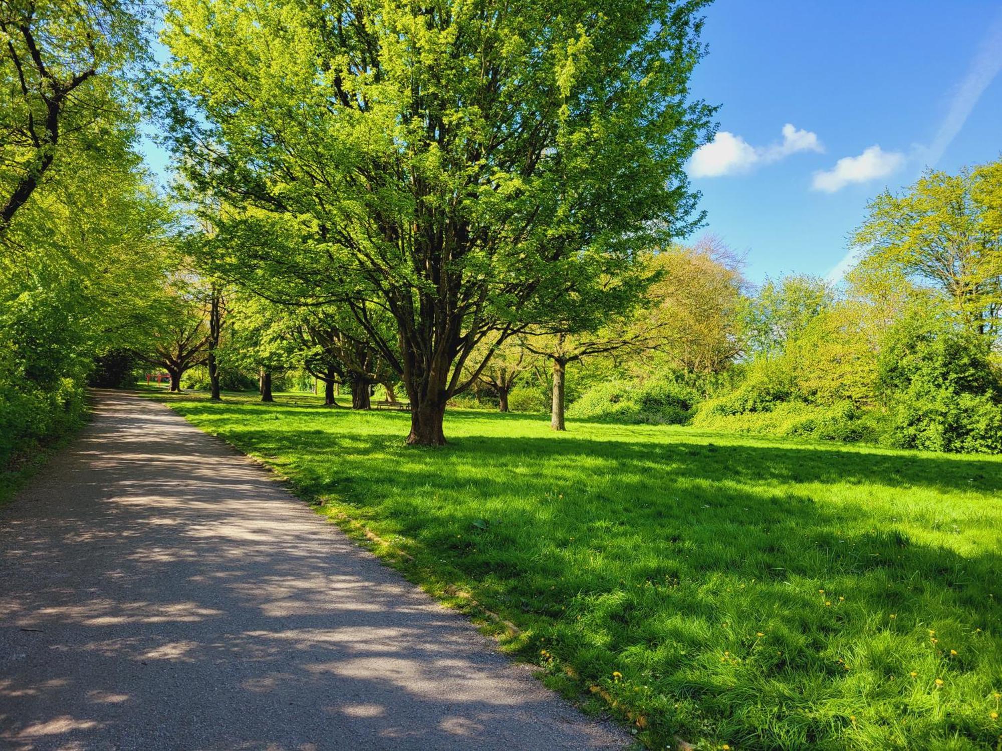 Ferienwohnungen Am Park Wilhelmshaven Zewnętrze zdjęcie