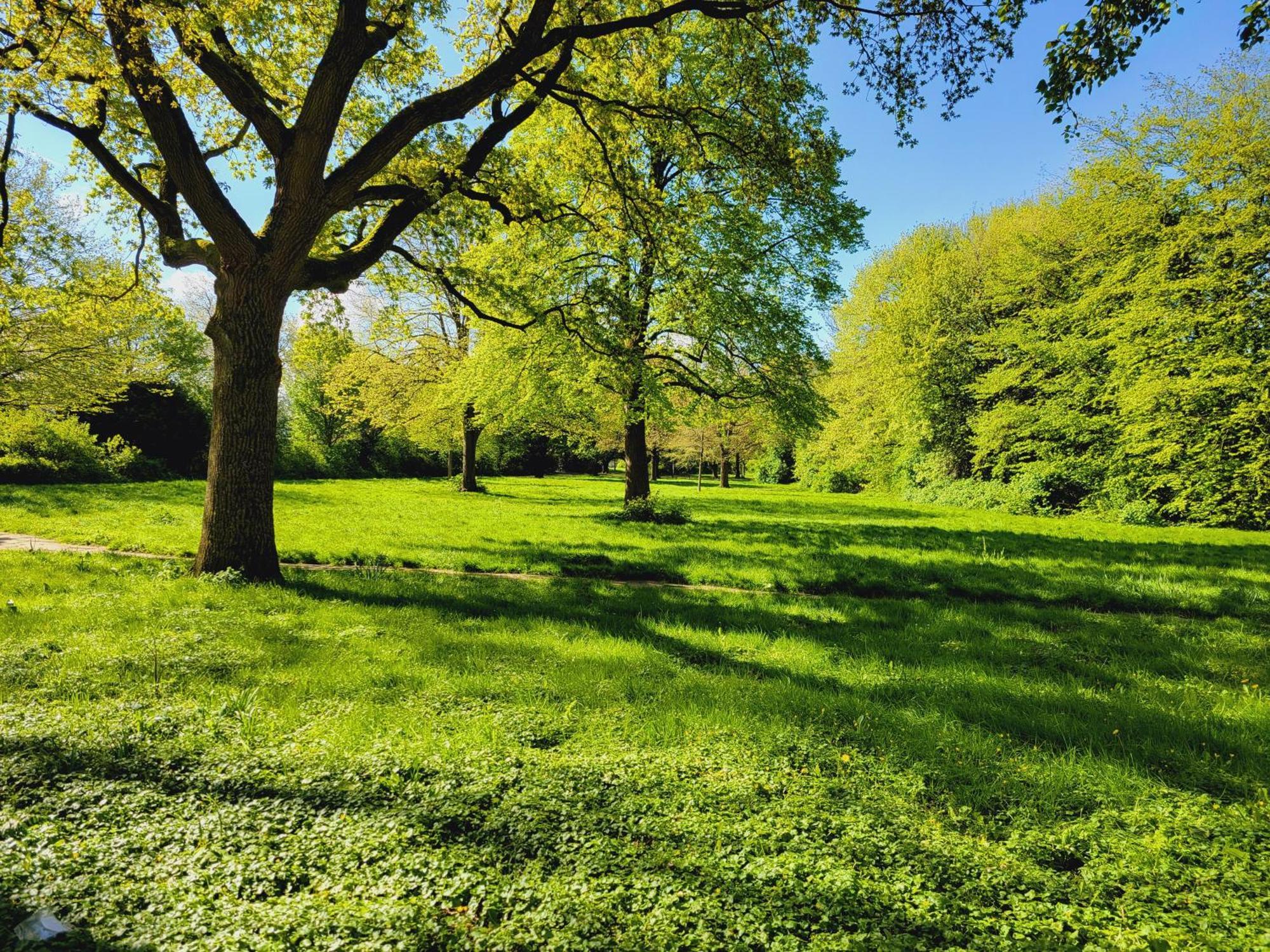 Ferienwohnungen Am Park Wilhelmshaven Zewnętrze zdjęcie
